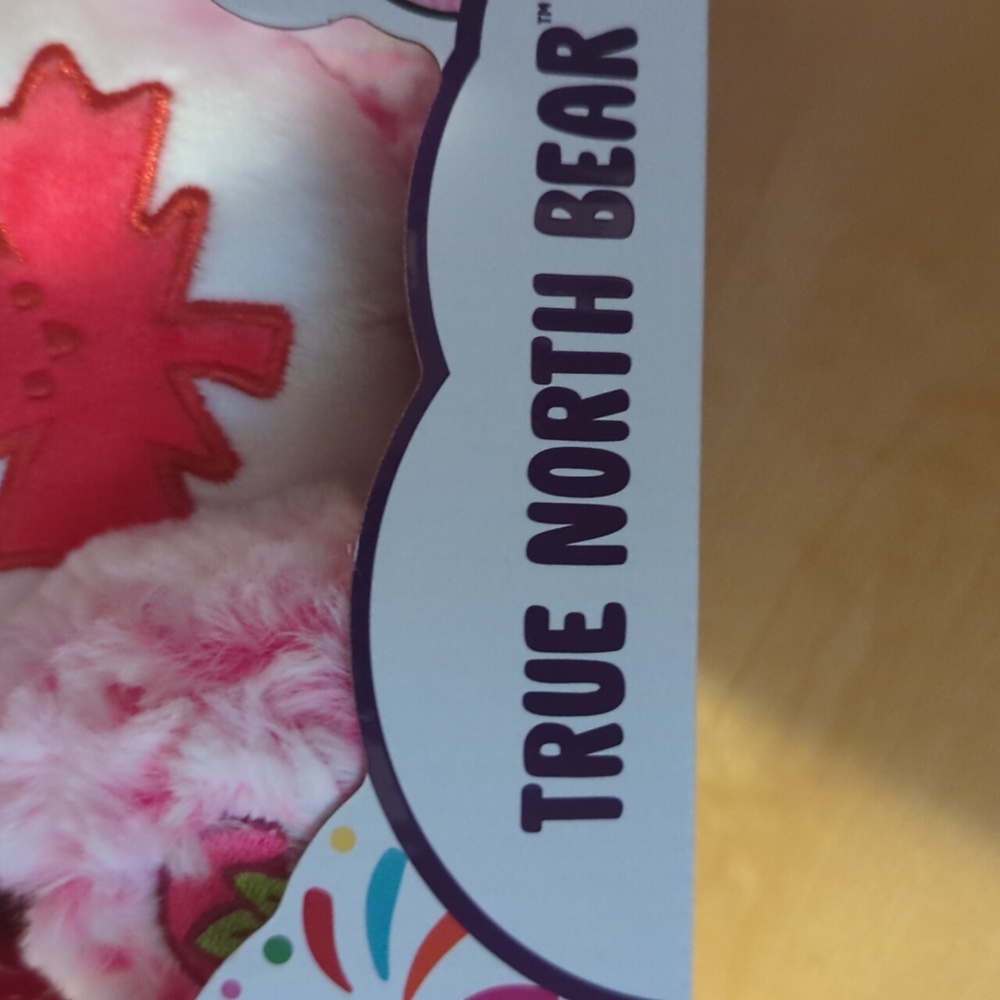 Care Bears Brand New True North Bear - Picture 3 of 13